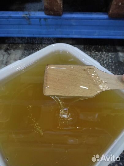 Липовый мёд оптом