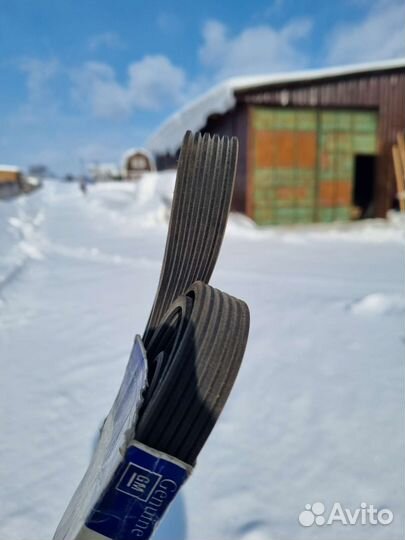 Ремень поликлиновый chevrolet blazer s15