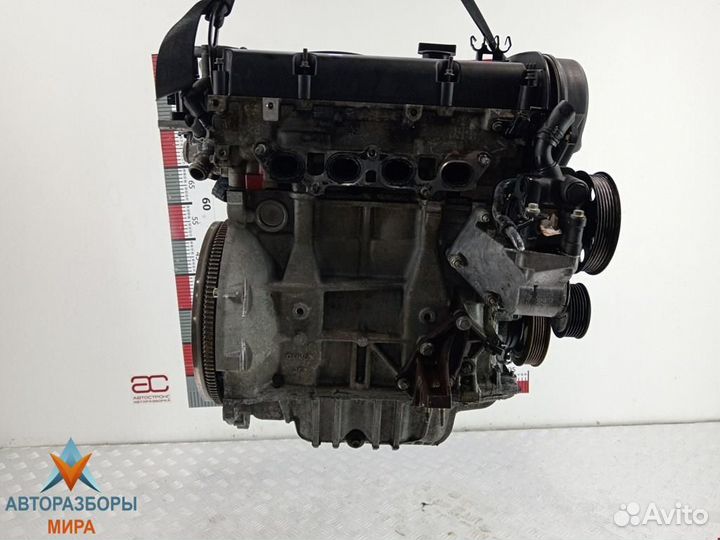 Форсунка Ford Focus 2001 1429840