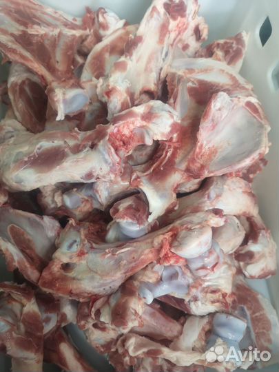 Кости для собак