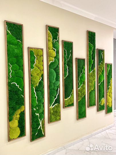 Мох. Фитостена.Озеленение.Растения.Декор.Мебель