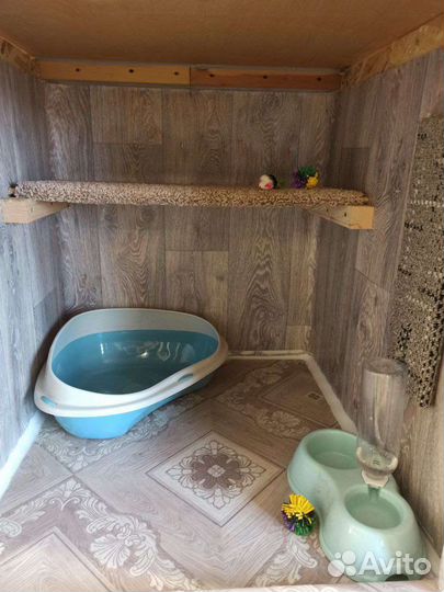 Временный домик для кошек передержка