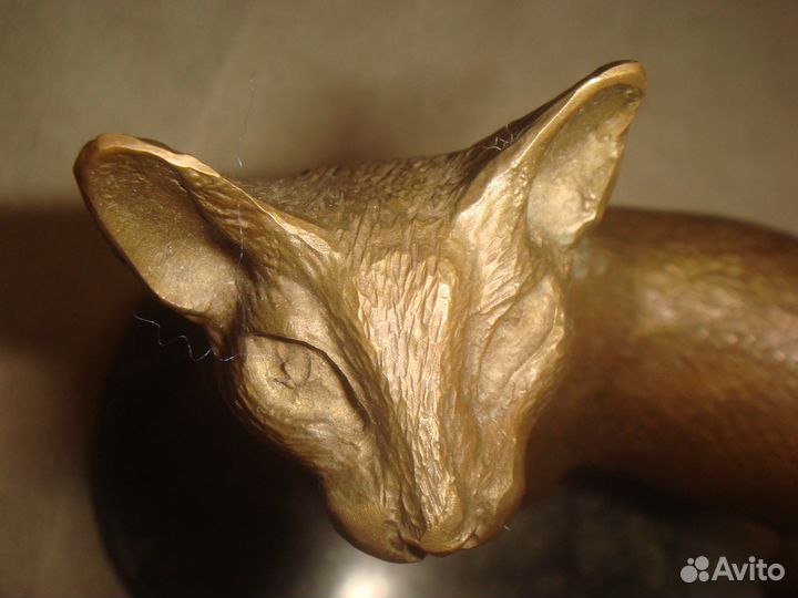 Сфинкс - кошка. Жестяная банка