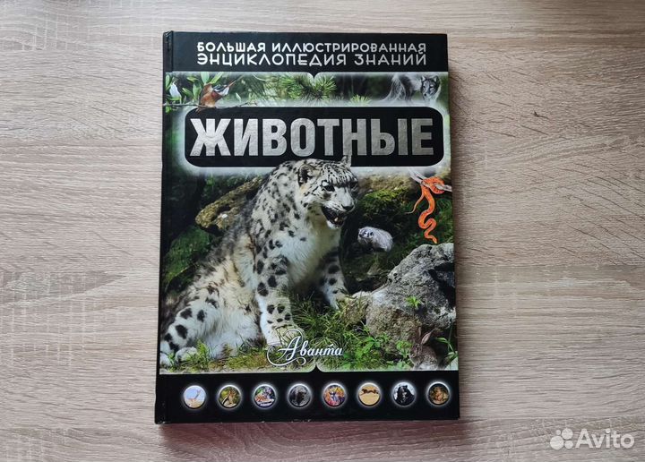 Энциклопедия 