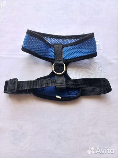 Одежда для собаки