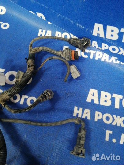 Проводка подкапотная Hyundai Accent седан G4EC