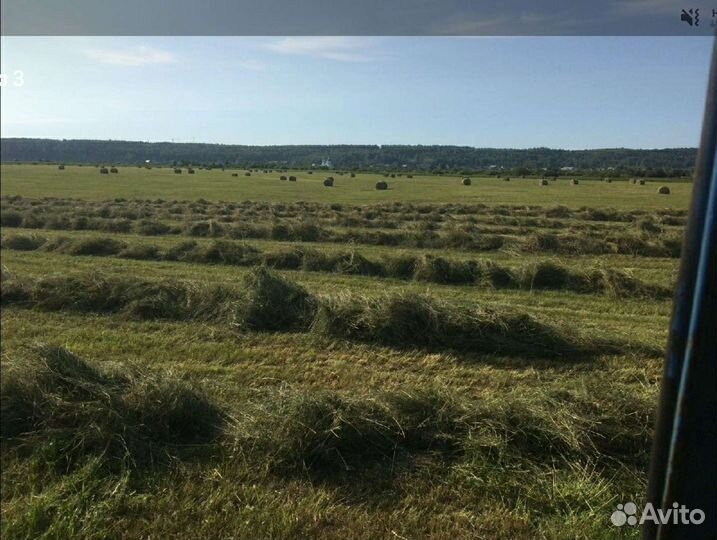 Сено в рулонах