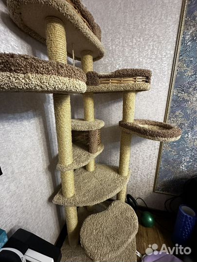Когтеточка с домиком