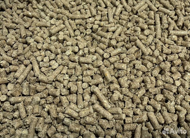 Щигровский ком-м свиньи откорм