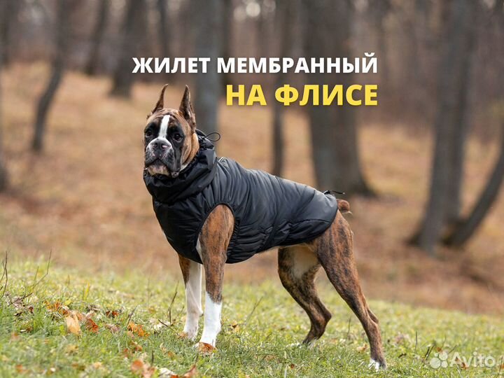 Одежда для средних и крупных пород собак