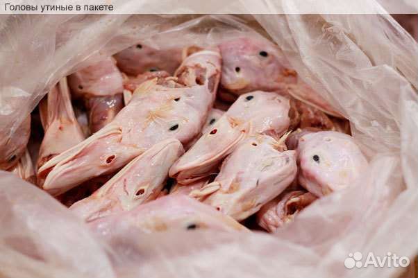 Мясо для собак Тучково