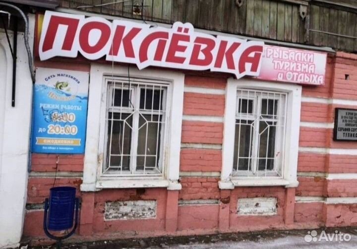 Живец карась