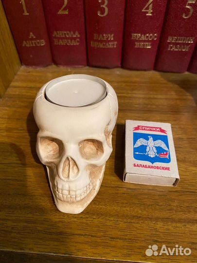 Череп memento mori