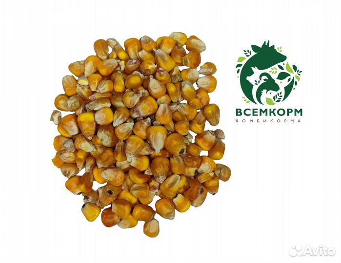 Кукуруза 10 кг и 40 кг