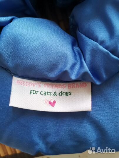 Воротник для животного (S) для кошки / мал. собаки