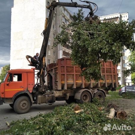 Спил деревьев, удаление деревьев, арбаристика