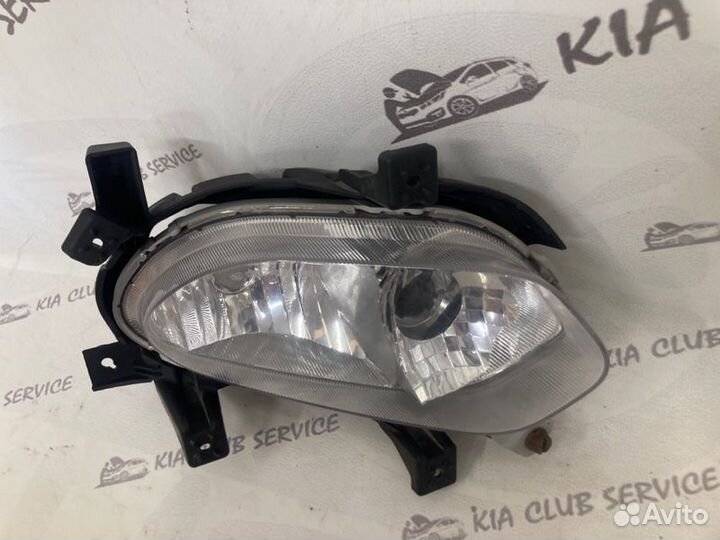 Фара противотуманная передняя правая Kia Ceed JD