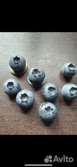 Растения для сада