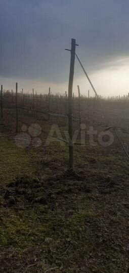 Участок 2,45 га (СНТ, ДНП)