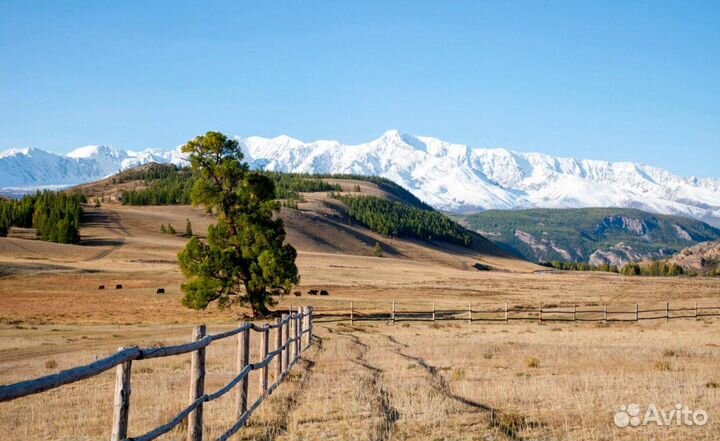 Фото Горного Алтая