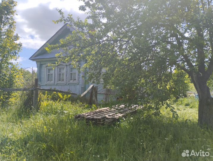 Пчелы пасека