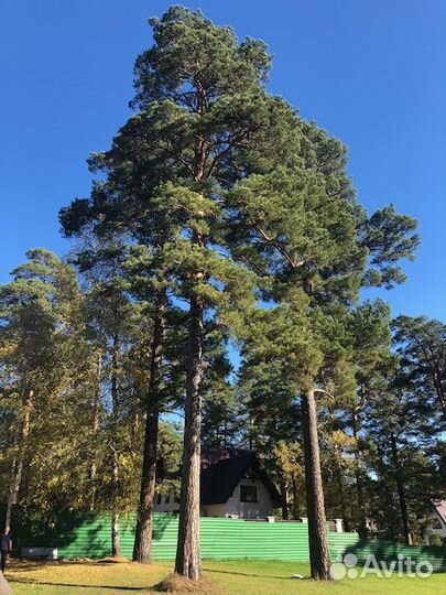 Пансионат-дом престарелых для пожилых и инвалидов