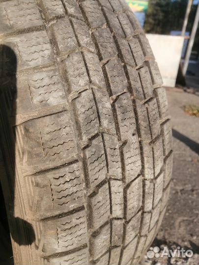 Dunlop Graspic DS3 195/65 R15 91Q