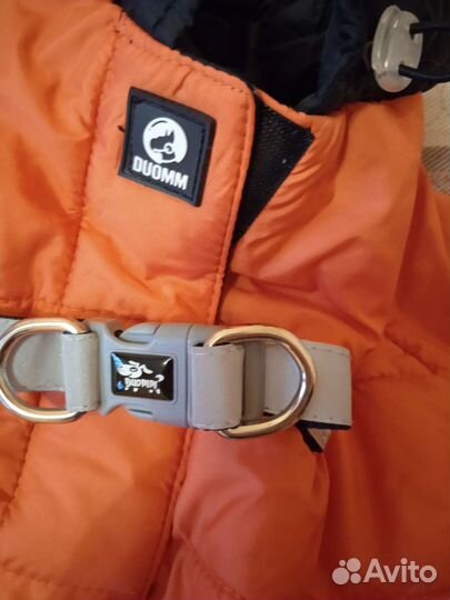 Одежда для собак новая