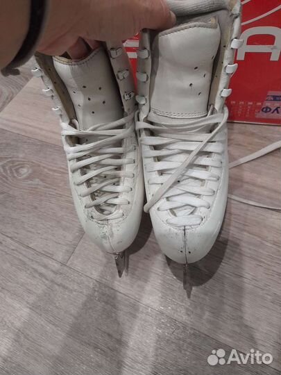 Коньки edea chorus225