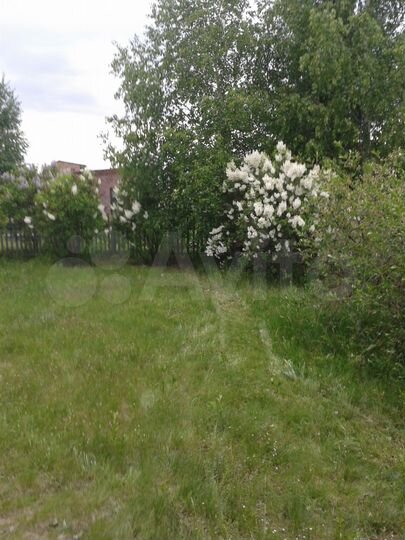 Участок 20 сот. (СНТ, ДНП)