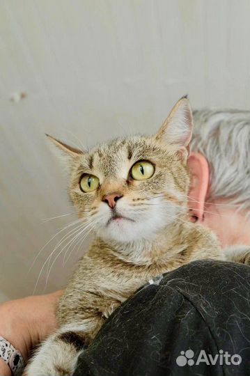 Мишель - ласковая девочка