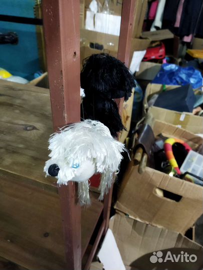 Собаки на верёвочке