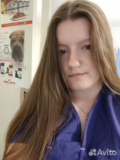 Ветеринарный врач выезд на дом