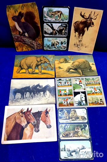 Открытки Календари Кошки Собаки Животные Раритет