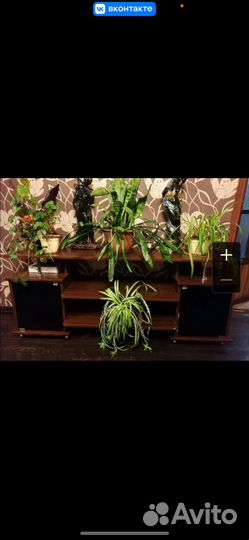 Тумбочка под телевизор