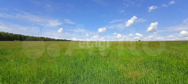 Участок 3,42 га (ИЖС)