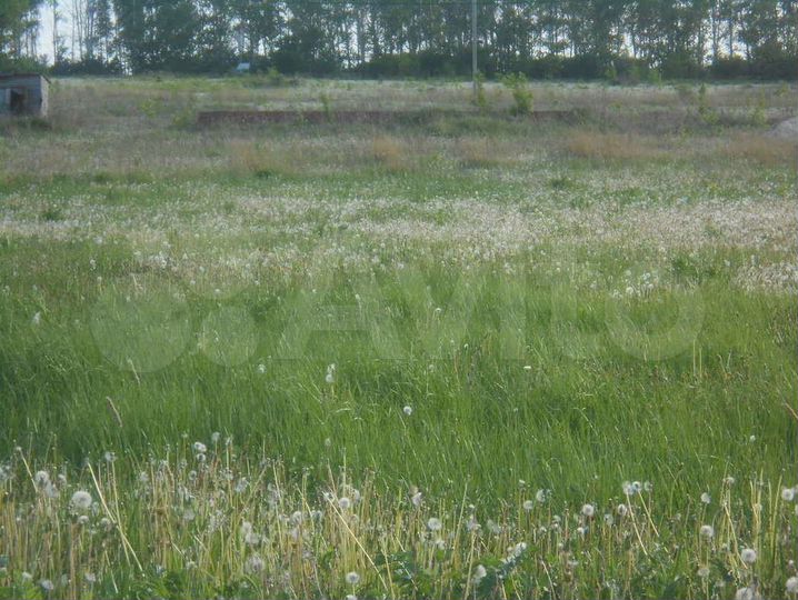 Участок 30 сот. (ИЖС)