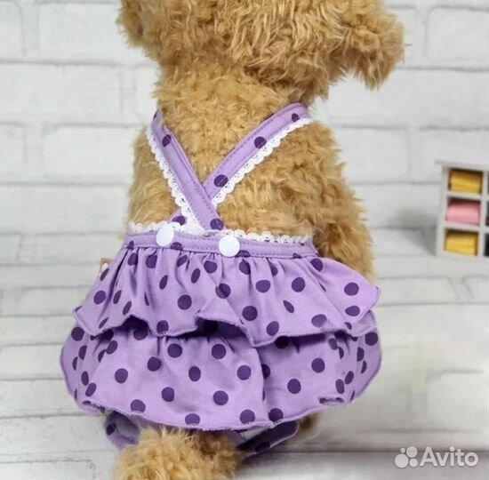 Трусики для собак