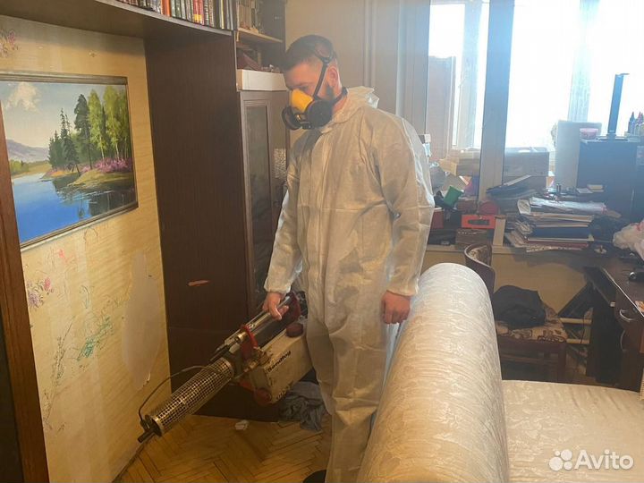 Уничтожение тараканов, клопов, клещей, мышей, блох