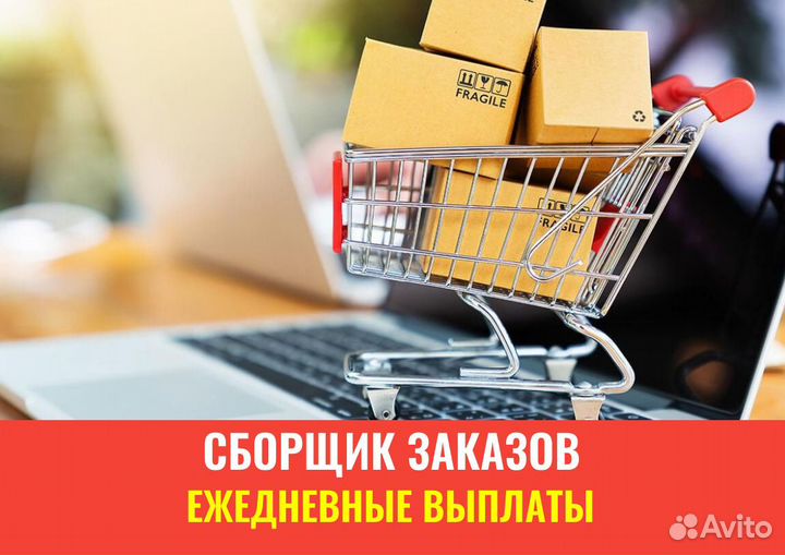 Сборщик заказов/Ежедневные выплаты