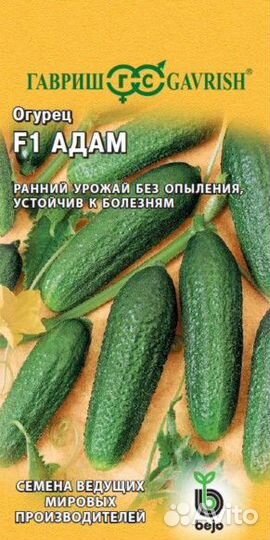 Продажа или обмен рассады огурцов