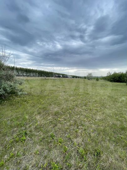 Участок 1,56 га (ИЖС)