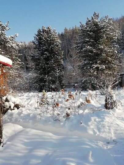 Дом 200 м² на участке 23 сот.