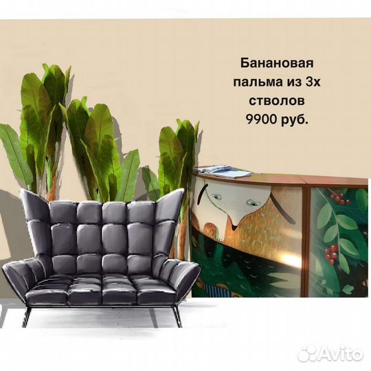 Дизайн проект визуализация озеленения бесплатно