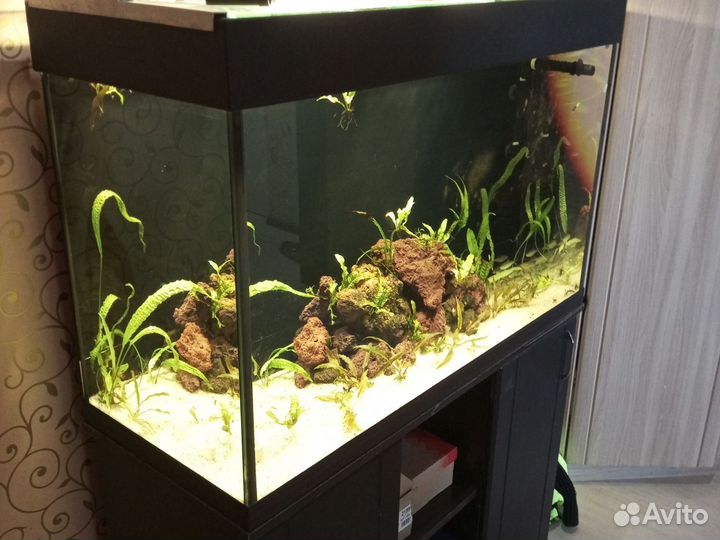 Аквариум 240 литров с тумбой