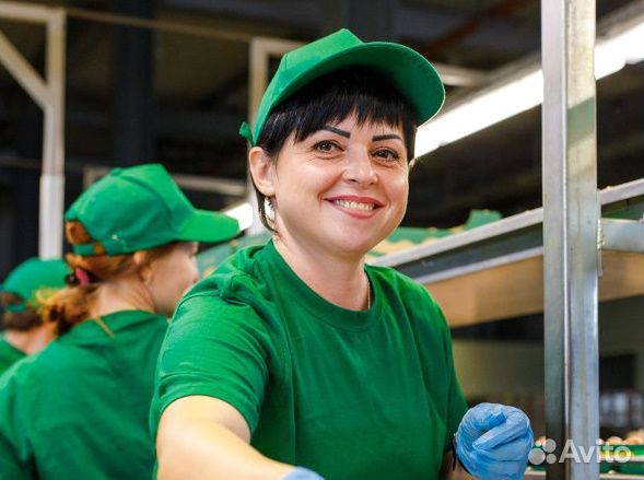 Упаковщики в Удмуртию, жилье бесплатно