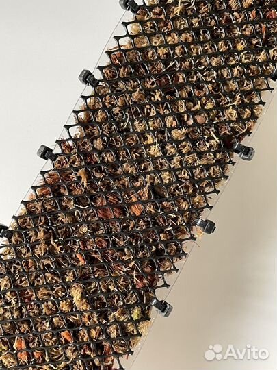 Опора для растений