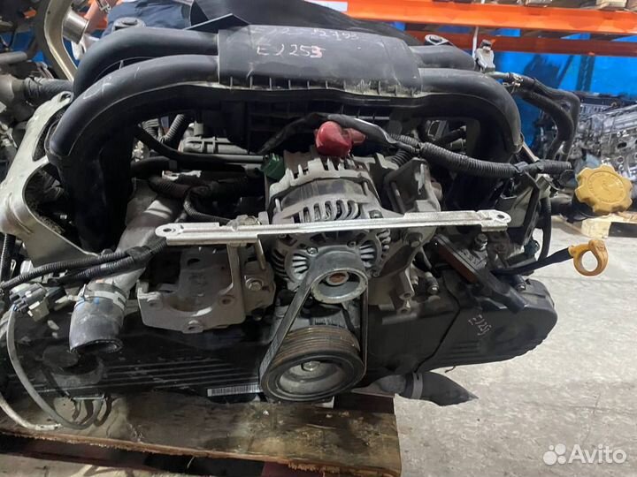 Двигатель Subaru Forester 3 EJ253 2.5