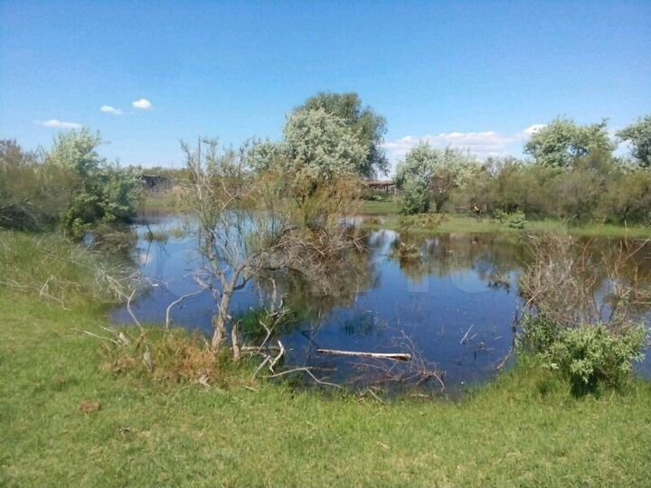 Участок 8 сот. (ИЖС)