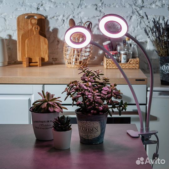 Фитолампа для растений